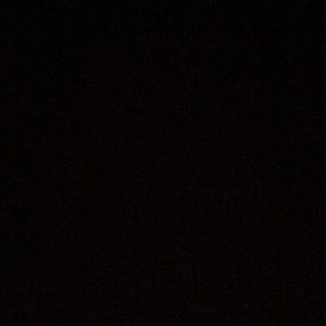 Meet your Posher, Bettina